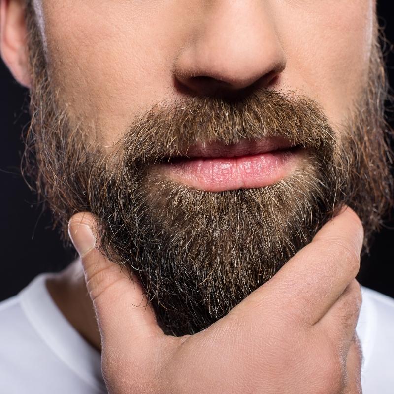 pustanje prve brade i dugo lice